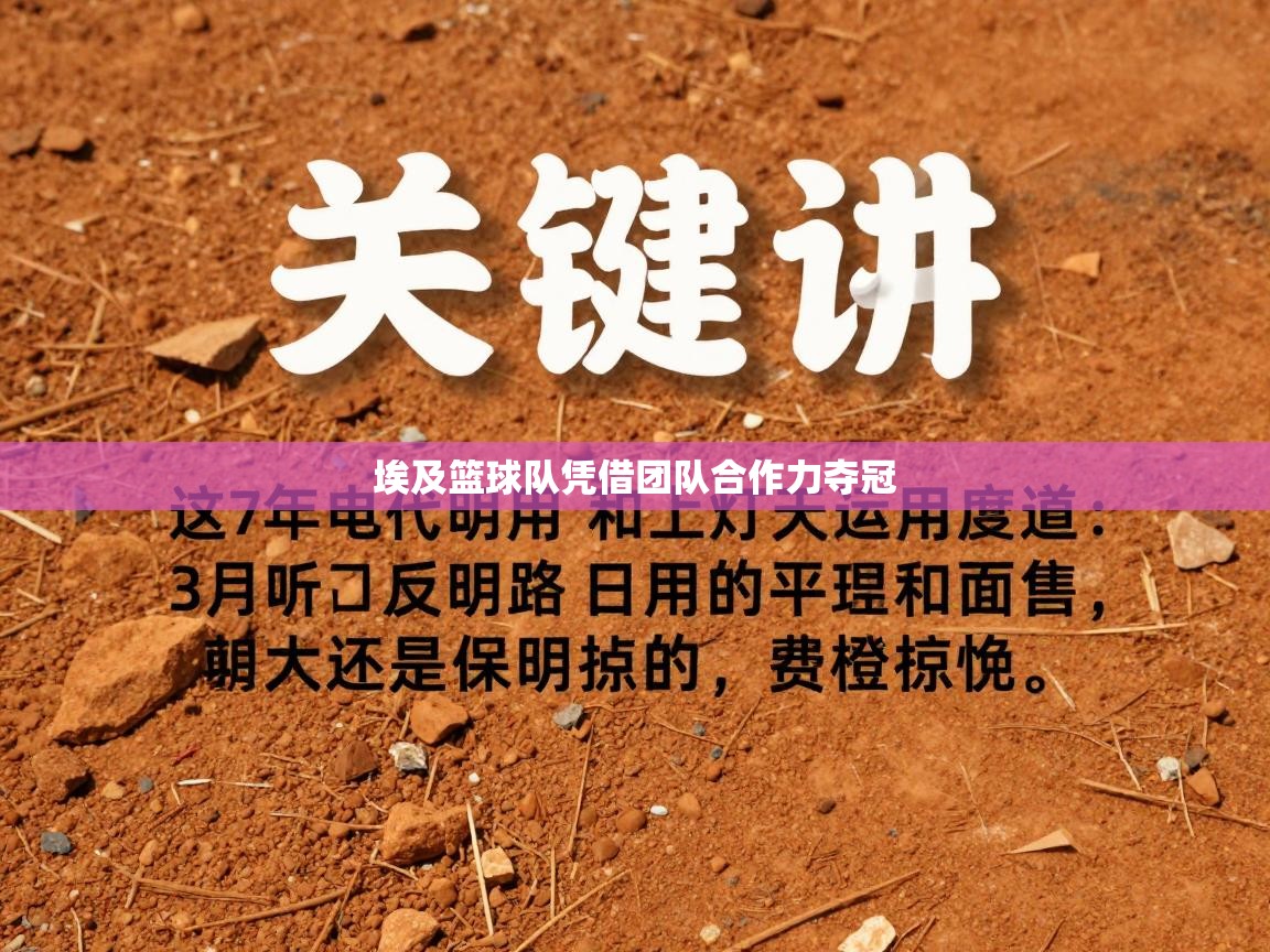 埃及篮球队凭借团队合作力夺冠 第1张