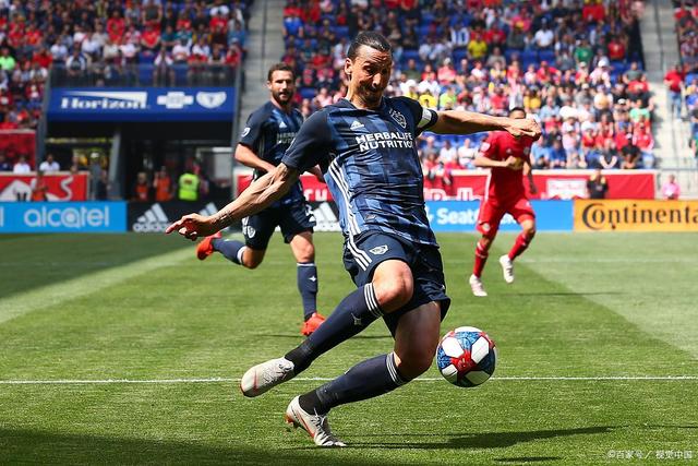 哥伦比亚体育代表团喜获个人佳绩的简单介绍 哥伦比亚体育代表团喜获个人佳绩的简单介绍